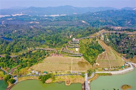 珠海凤凰山|国家生态公益林